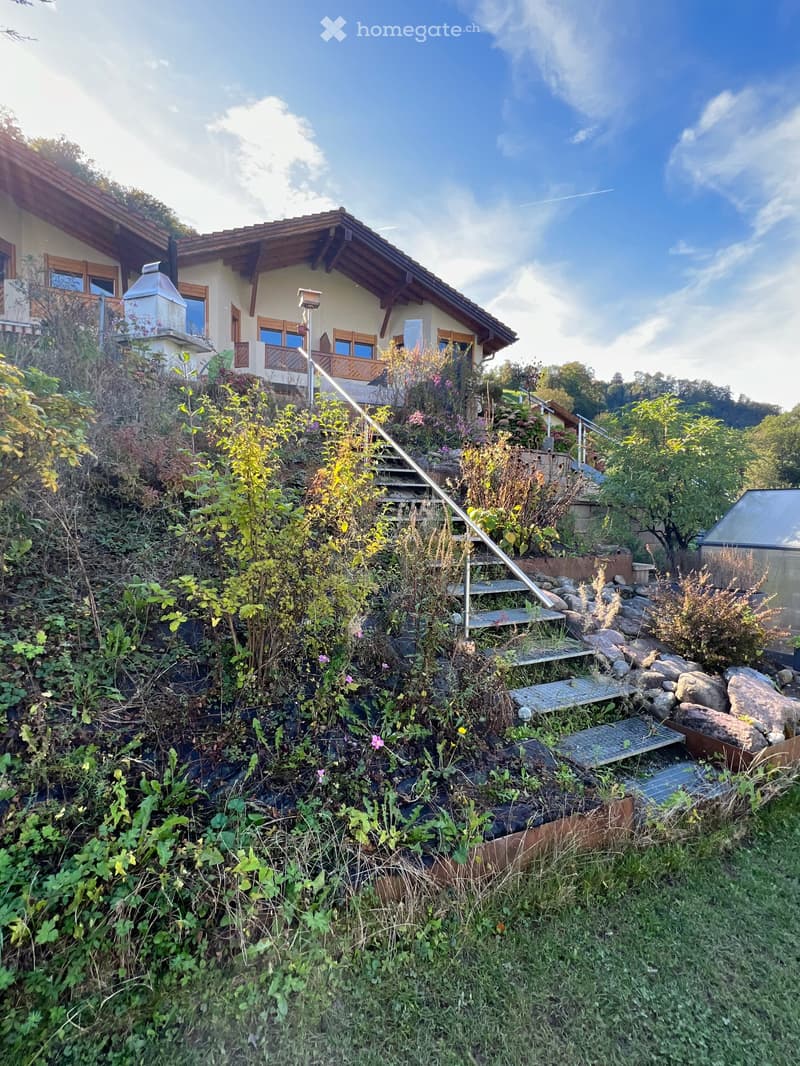 raised house on hillside, stone wall base, stairs leading up to entrance, plants, greenery, sunny weather