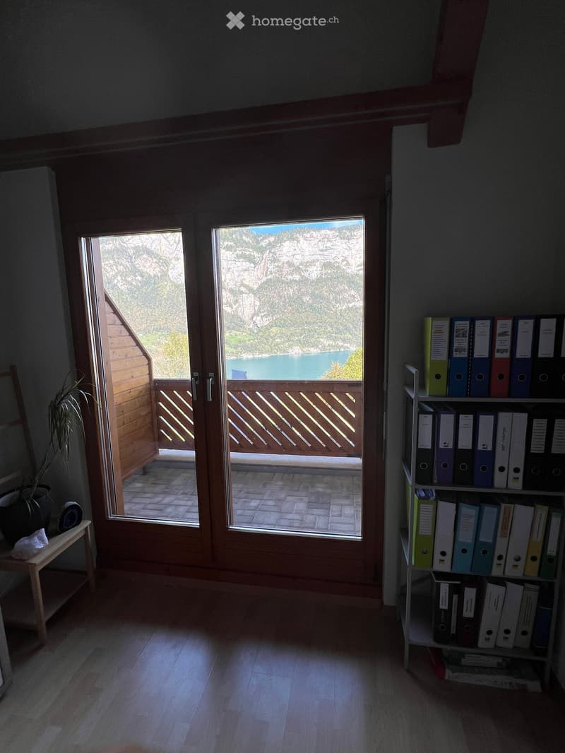 empty room with wooden floor, balcony with railing, glass doors to balcony, potted plant, shelf with files, lake view
