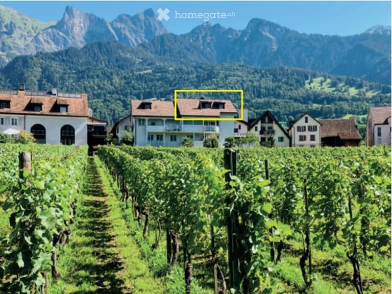 Detached house with vineyard, mountain view, brown roof, balcony on second floor, white facade, neighboring houses visible