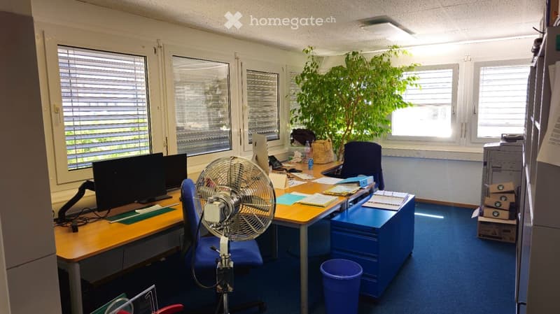 Office space with desk, chair, computer, trash bin, printer, storage boxes, large window, plant