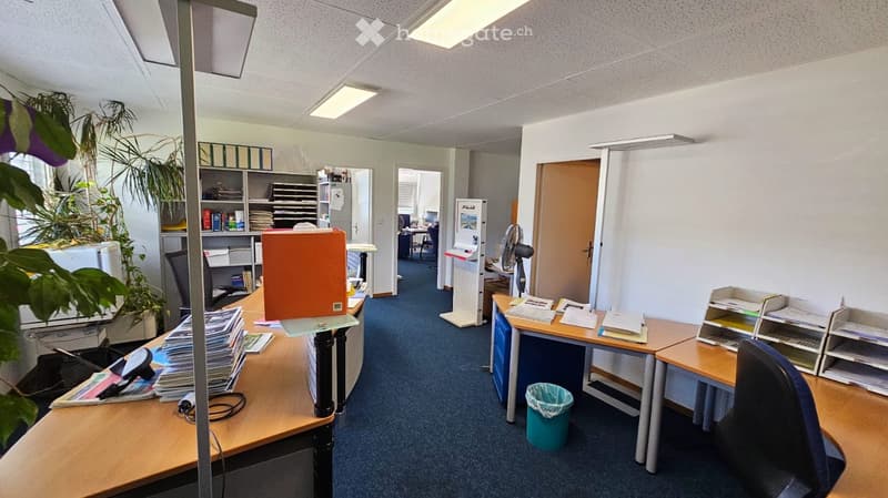 Spacious office, carpeted floor, several desks, filing cabinets, plants, open door, fan
