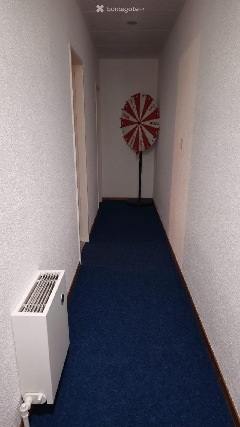 Corridor with white walls, blue carpet, a radiator on the wall, and a dart board on the wall.