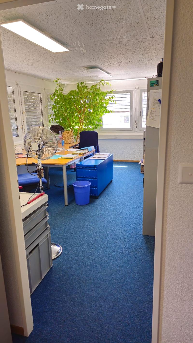 Office room with tables, chairs, trash bins, fan, and a large tree. White walls and ceilings. Wooden windows.