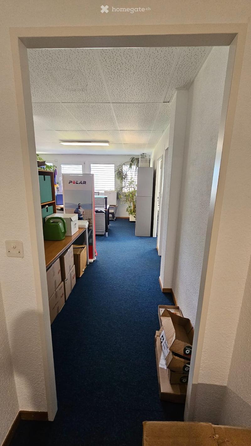 corridor with blue carpet, ceiling lights, desk with boxes, office plants, office equipment