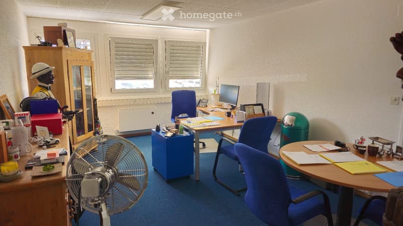 Office space with a desk, a trash bin, a blue desk and chair, a monitor, a computer, a telephone, a white shelf, a cabinet, a fan, and a picture