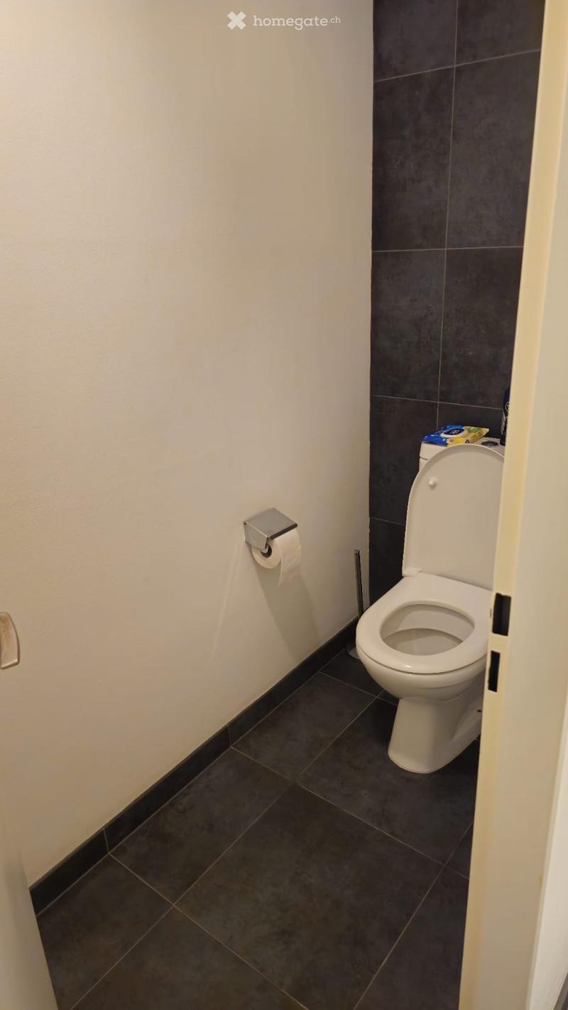 compact toilet room, white walls, grey tiles, modern design, toilet with automatic seat