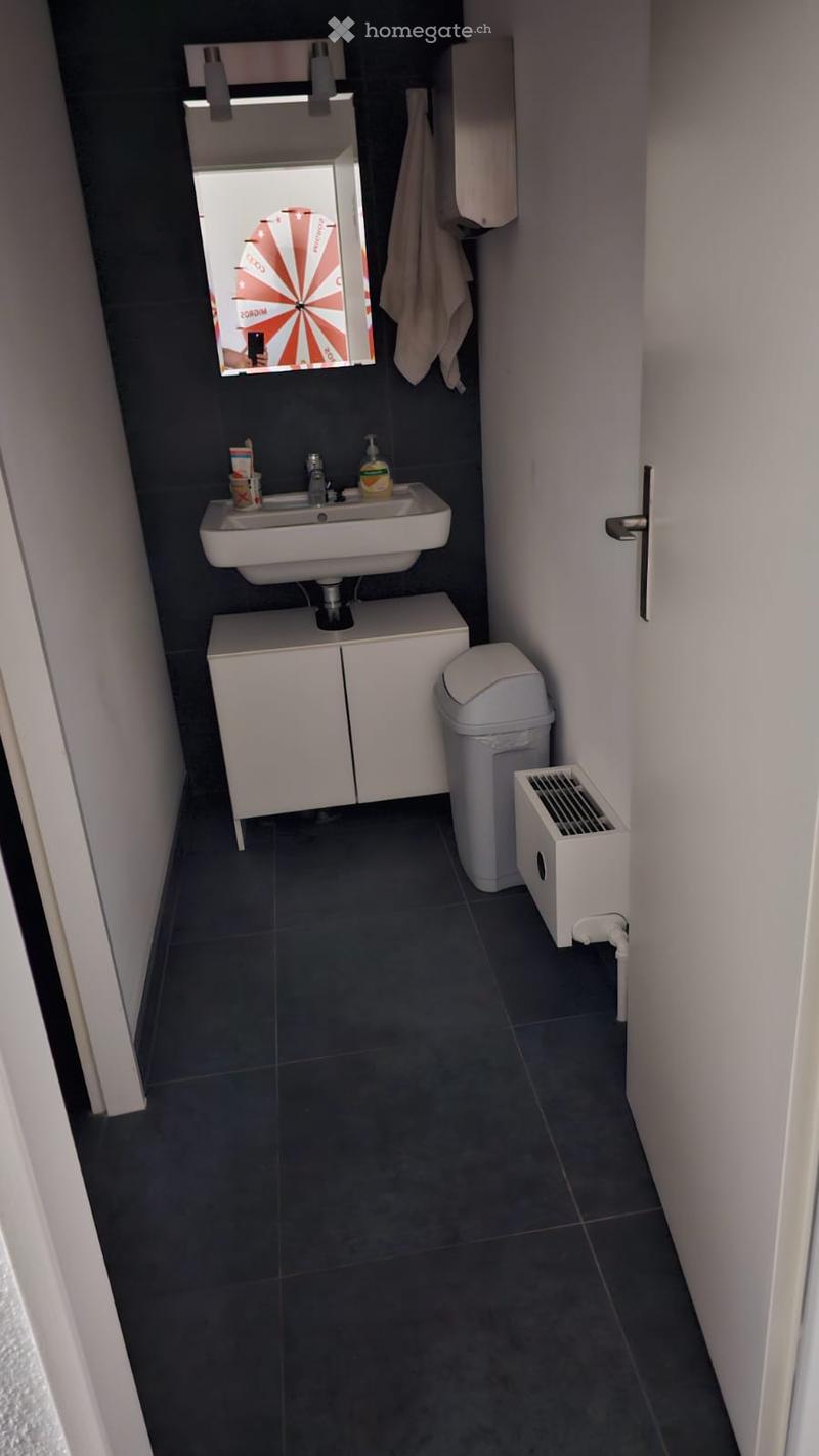 Sink with soap and shampoo, trash bin, radiator, toilet mirror, towel hanger