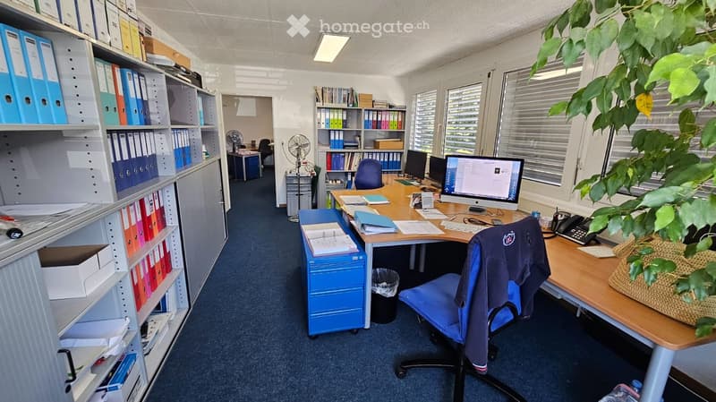 Office: desks, office chairs, computer monitors, storage shelves, telephone, fans
