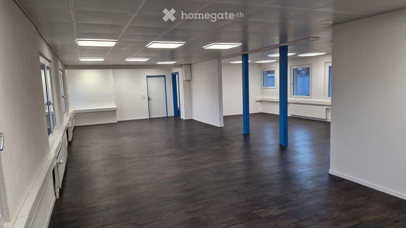 Empty room, dark wood floor, white walls, three windows, two doors, ceiling lights