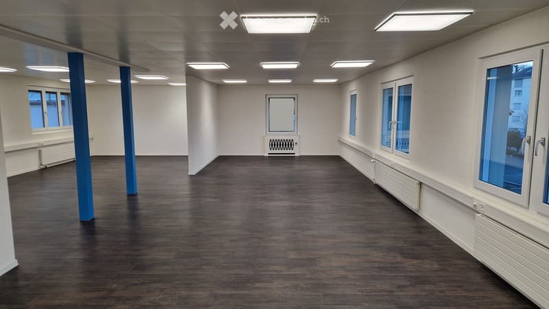 large open room with hardwood floors, 6 windows, white walls, central column