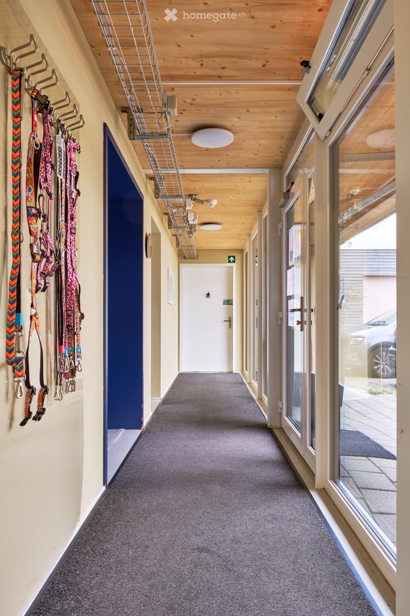 wooden ceiling, carpeted floor, glass doors, blue door, metal hooks with leashes