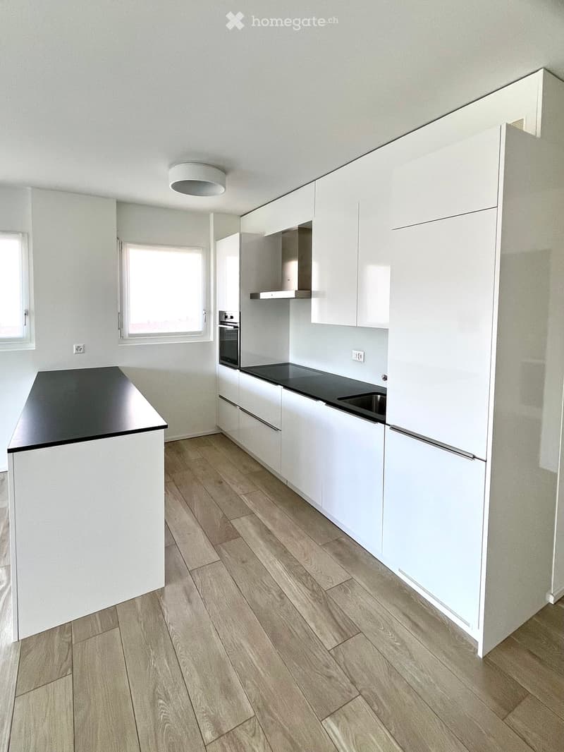 modern kitchen with white cabinets, black countertops, wooden floor, built-in oven, dishwasher, and a ceiling lamp