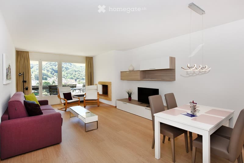 modern furnished living room with sofa, dining table, flat-screen TV, fireplace, wooden floor, balcony
