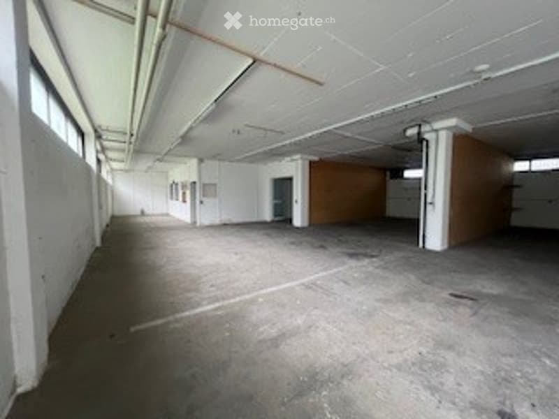 Spazio industriale di 400 mq a Lamone (1)