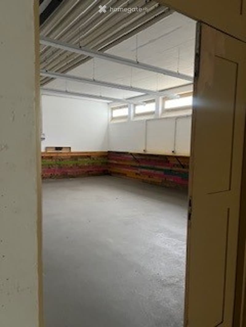 Spazio industriale di 400 mq a Lamone (5)