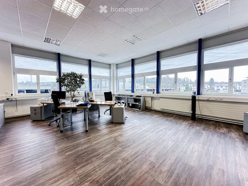 Open space office with desks, chairs, and a potted plant. Hardwood floors and large windows