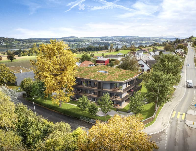 Modern apartment building, green rooftop, glass windows, terraces, surrounded by trees, located near a road and water