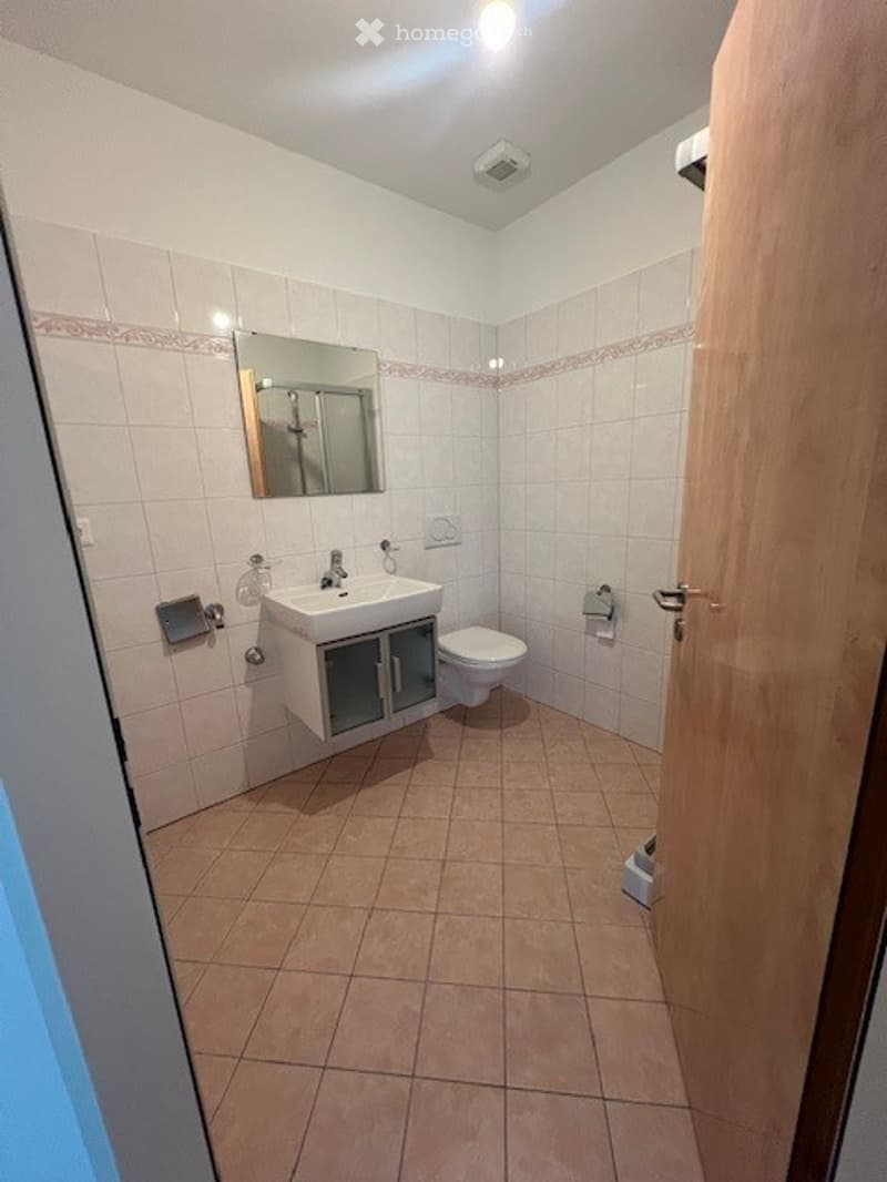 White tiles, white sink, mirror, toilet, toilet paper holder