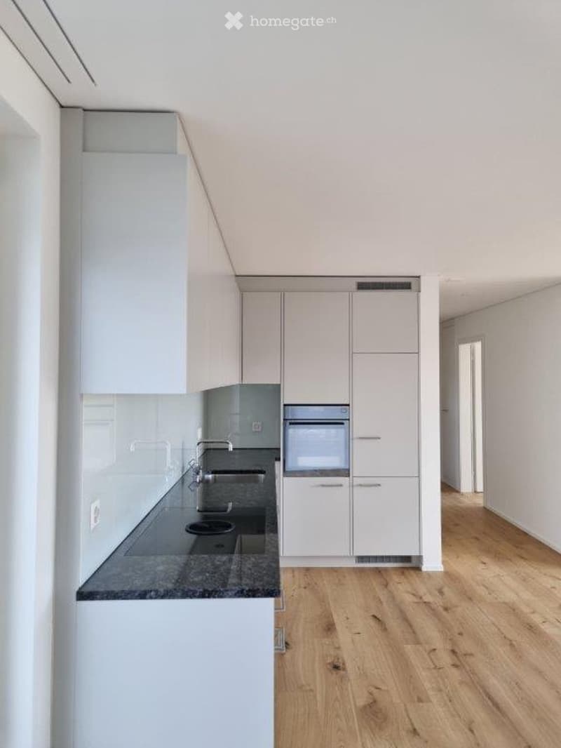 Modern kitchen with granite countertop, double sink, white cabinets, integrated oven and dishwasher