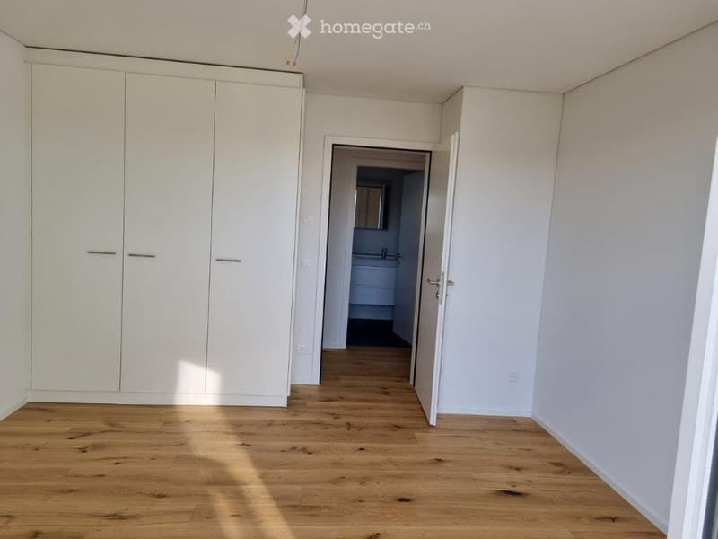 empty room, wooden floor, white walls, three wardrobes, mirror in the corridor