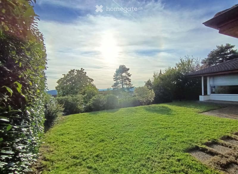 Wide green grass lawn, a few trees, hedge, blue sky, sun shining