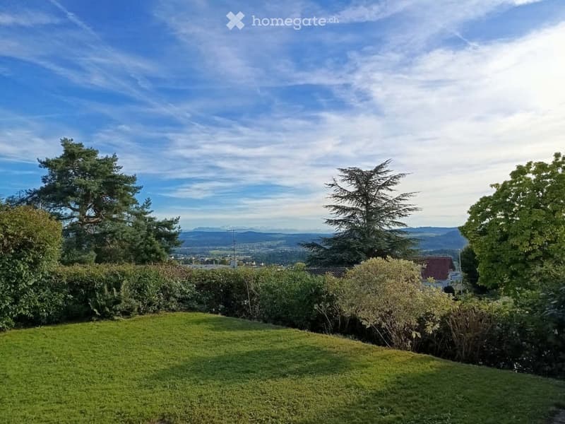 Large grassy area, surrounded by trees and shrubs, view of the mountains, sunny day