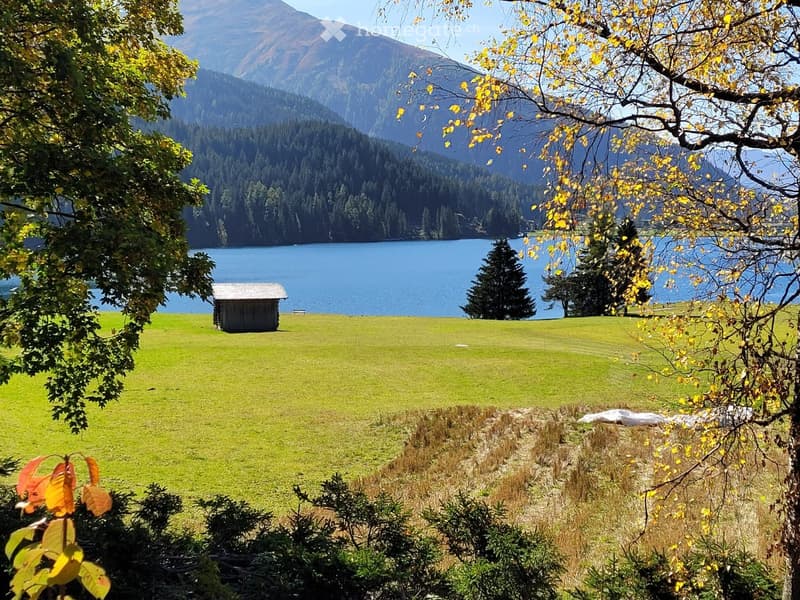 green grass, small wooden house, lake, mountains, trees