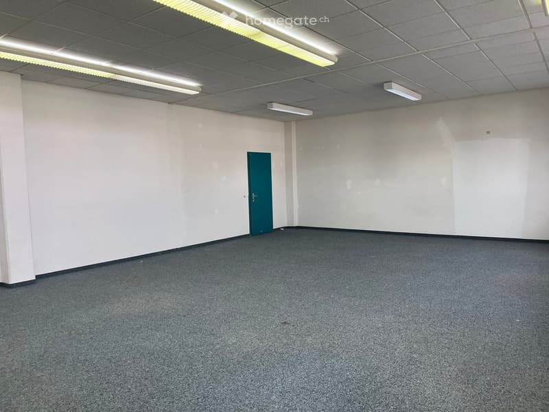 Empty room with white walls, gray carpet flooring, fluorescent ceiling lights, and a door.