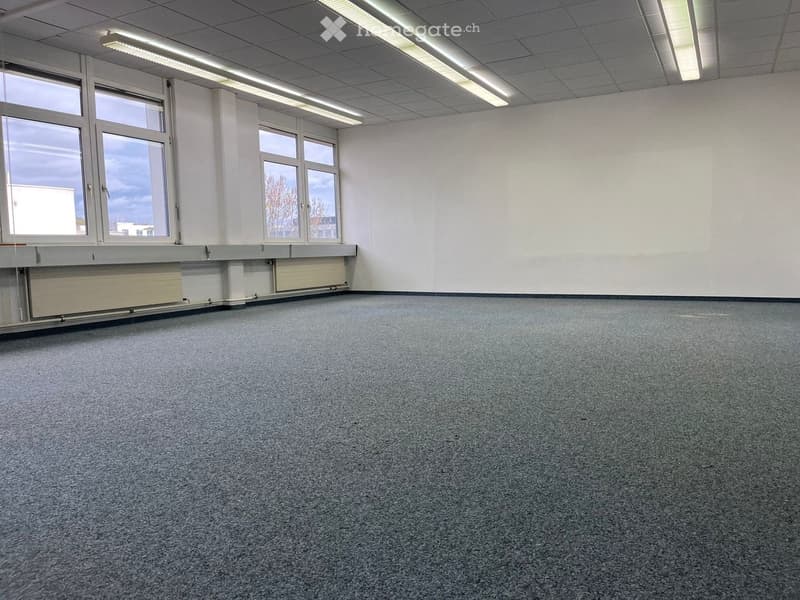 Large empty room, gray carpeted floor, white walls, four windows, recessed lighting, two large radiators