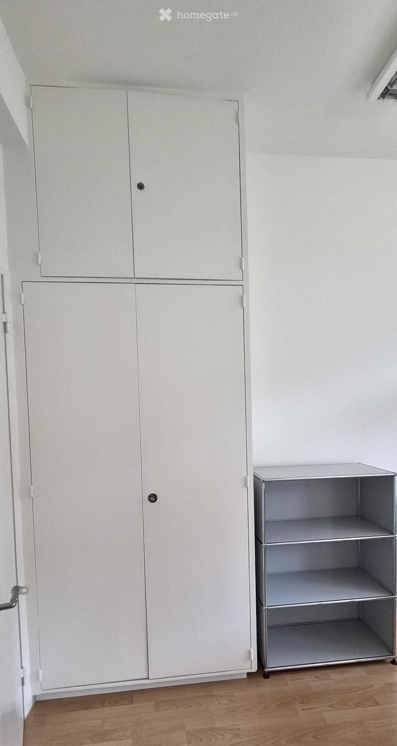 Empty room with light grey built-in wardrobes and a small metal shelving unit, featuring wooden flooring and white walls.