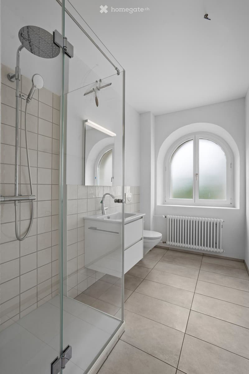 shower, sink, mirror, toilet, heating, tiles, window