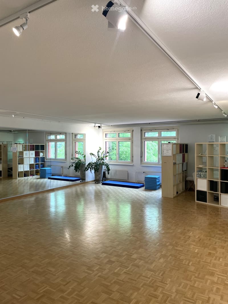 Spacious room with wooden floors, large windows, ceiling mounted lights, two potted plants, a row of shelves with exercise equipment, mirror, two exercise mats