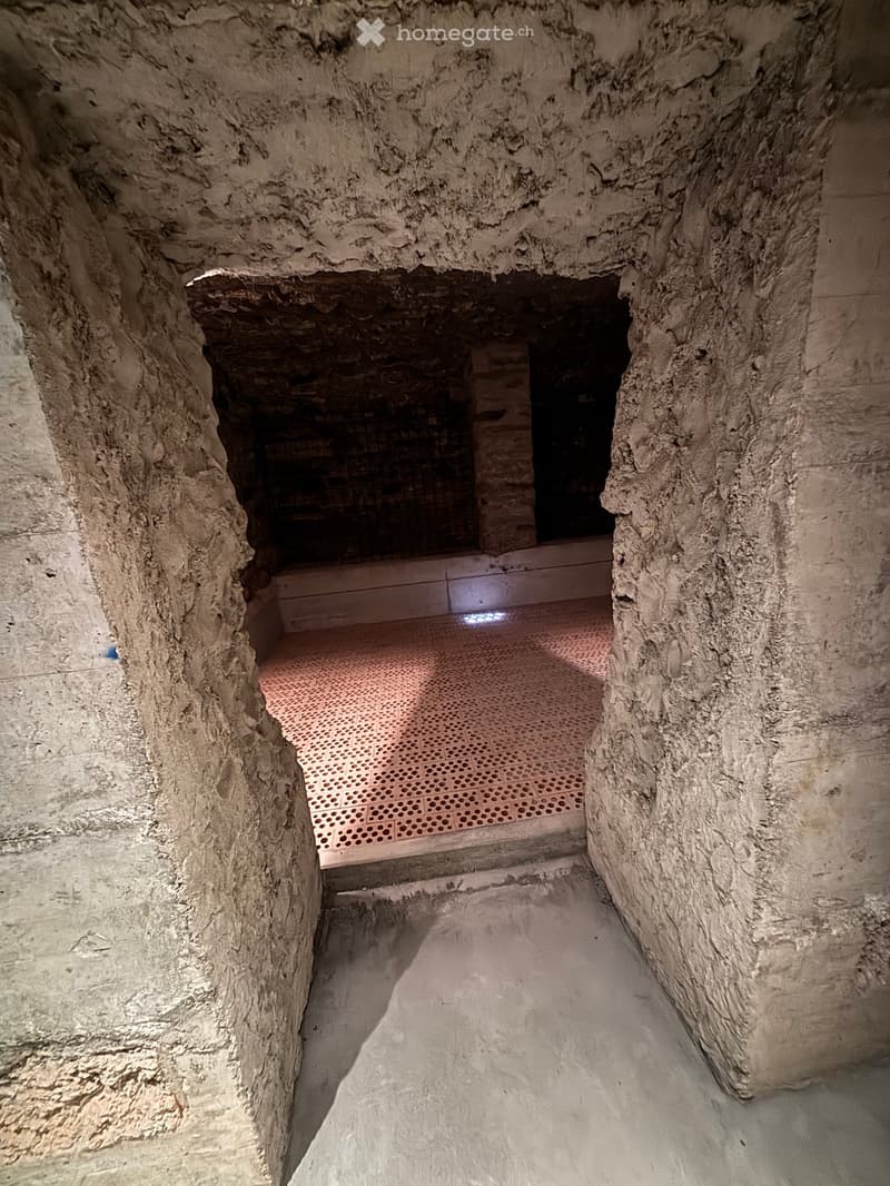 Concrete walls, brick floor, illuminated by a ceiling light