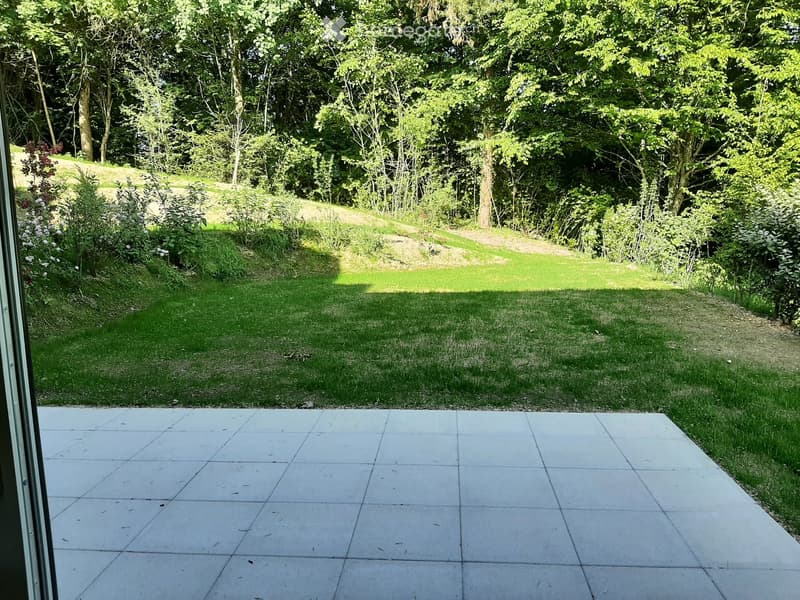 A well-maintained garden with a tiled patio area, lush green grass, and surrounding trees and shrubs.