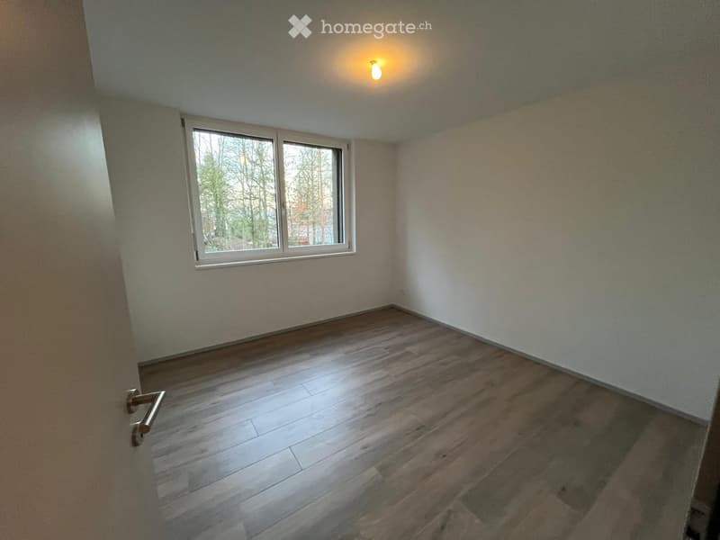 empty room with white walls, wooden floors, large window, ceiling light