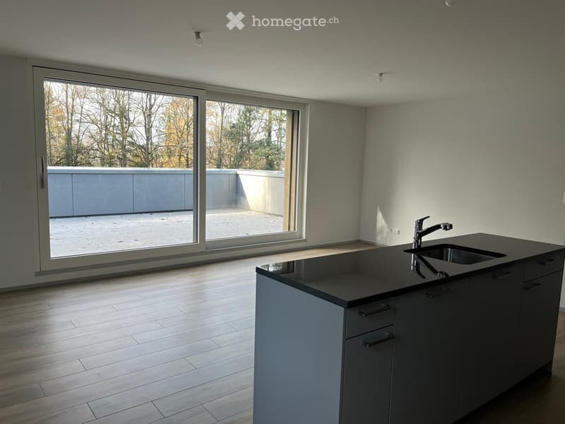 modern kitchen with wooden floors, large sliding doors with access to a terrace, stainless steel sink, and a faucet.