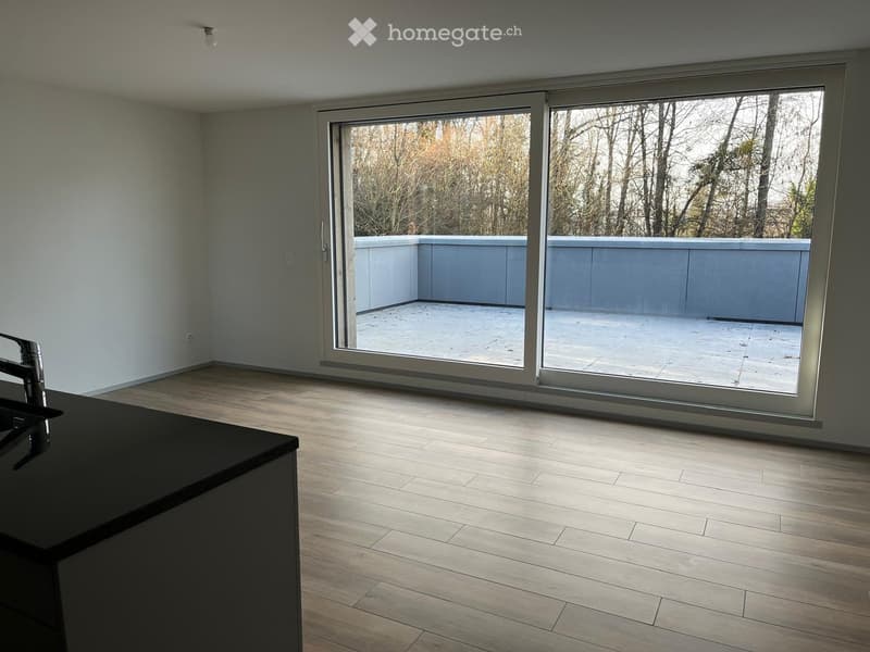 empty room, wooden floor, large sliding glass door, balcony