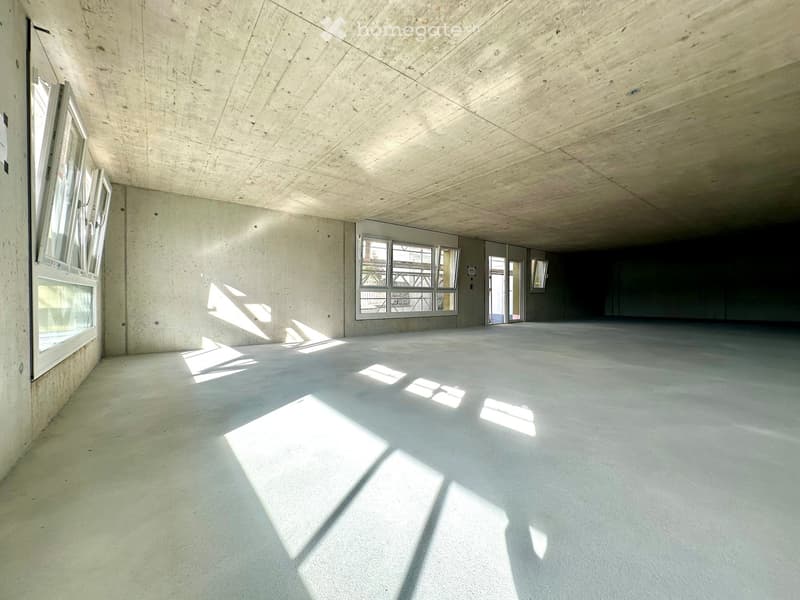 Concrete floor, concrete walls, large windows, unfinished