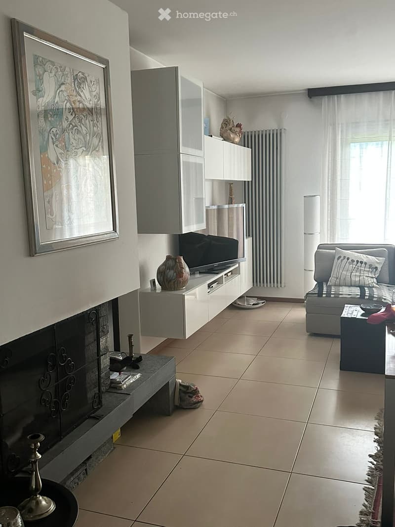 white cabinets, fireplace, flat screen TV, couch, coffee table, radiator, picture frame
