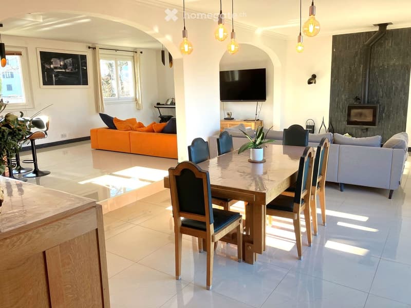 modern interior, large dining table, orange sofa, television, fireplace