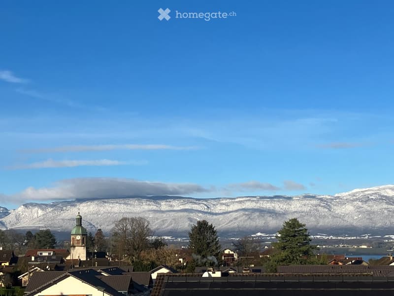 Houses in town, trees, mountains, church tower, water body