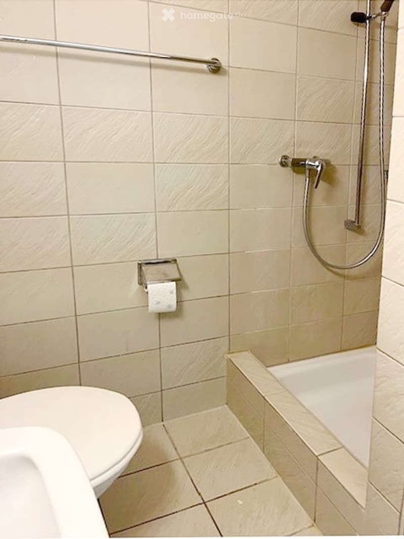 Bathroom with toilet, shower, bathtub, and sink