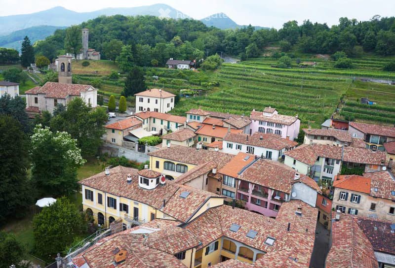 Multiple houses with red roofs in a hilly landscape with green vineyards and mountains in the background