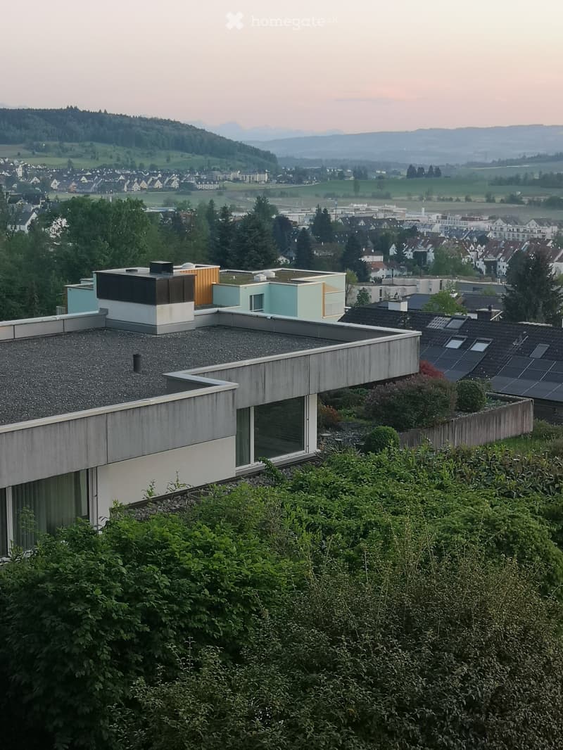 modern design house, grey roof, solar panels, trees and bushes, panoramic town view