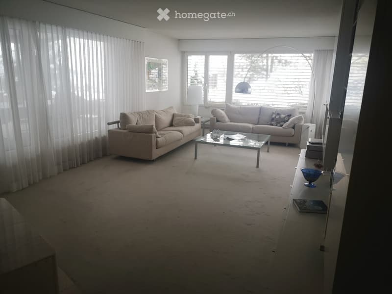 large living room, two couches, table, two lamps, shelves, carpet