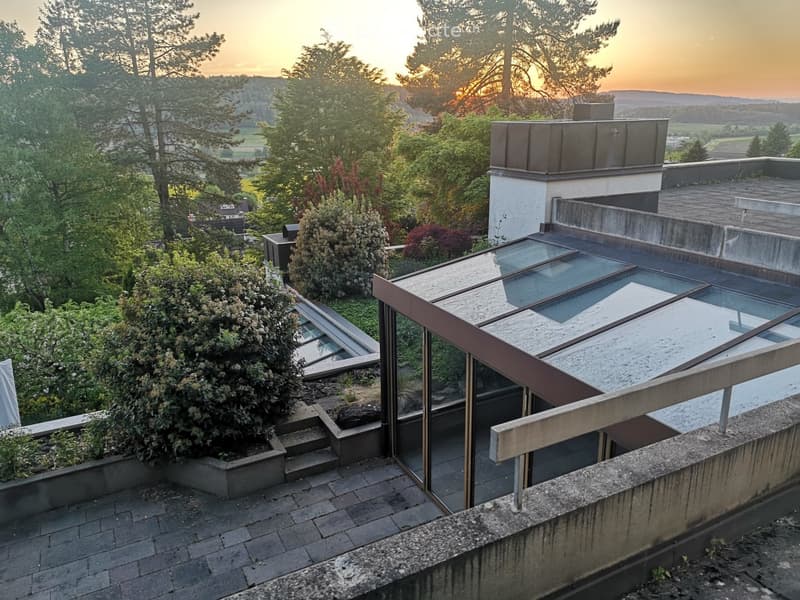 Modern house with glass walls, balcony, and roof terrace, brick roof, scenic view, greenery around