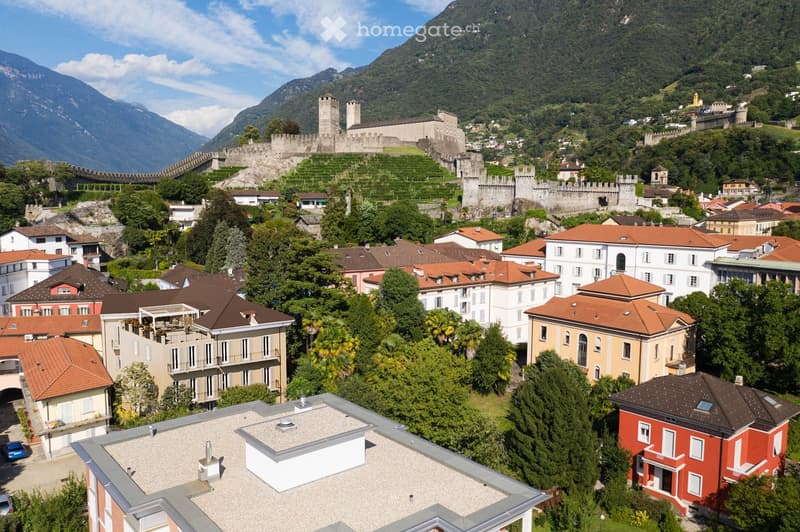 Aerial view of houses with different roof styles, surrounded by lush greenery and mountains, with a castle in the distance.