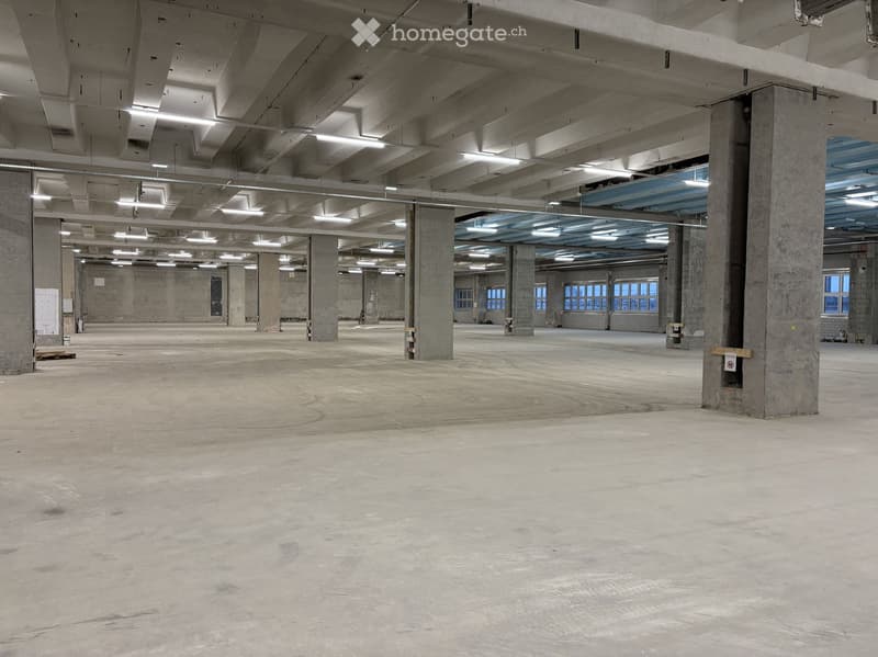 Empty industrial building, concrete floor, steel beams, windows, unfinished construction