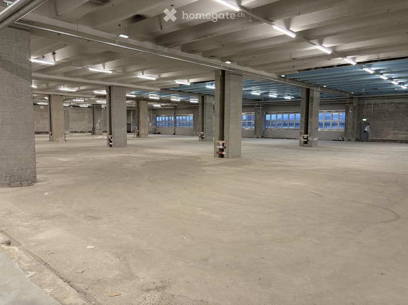 open space, concrete floor, high ceiling, multiple pillars, windows