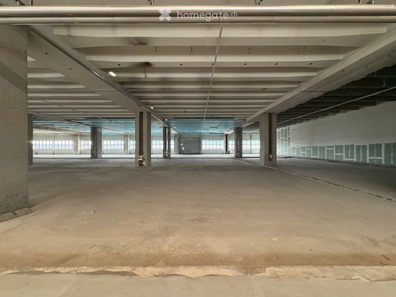 Empty, industrial-style space with exposed beams, concrete floor, and glass windows.